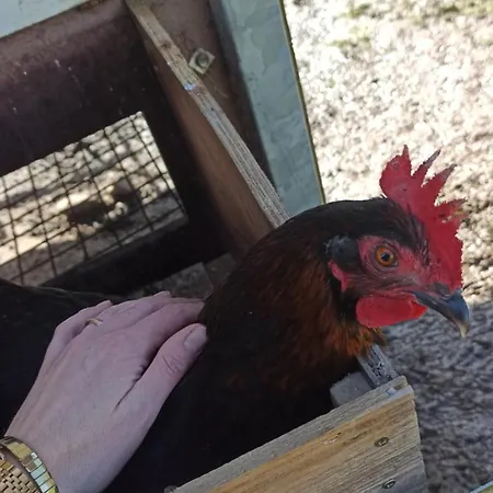 La Loge Ligeron Hébergement de vacances