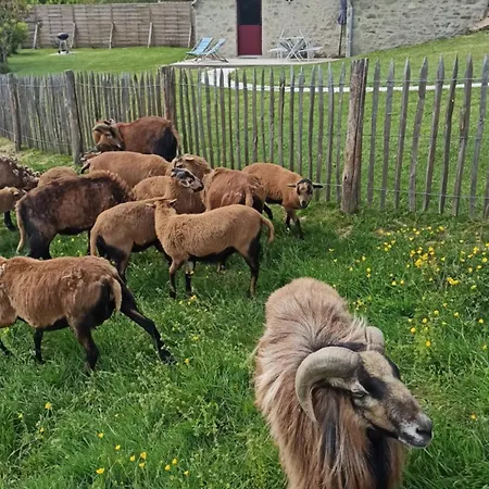 La Loge Ligeron Hébergement de vacances Mauleon